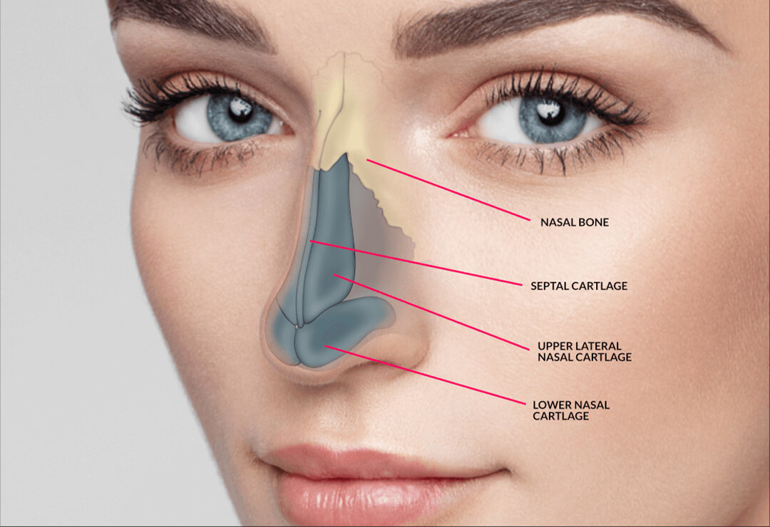 Rhinoplasty Surgery in Delhi | Nose Reshaping Surgery in Delhi