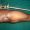 Limb-Trauma