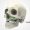 Mandible-&-Facial-Reconstruction
