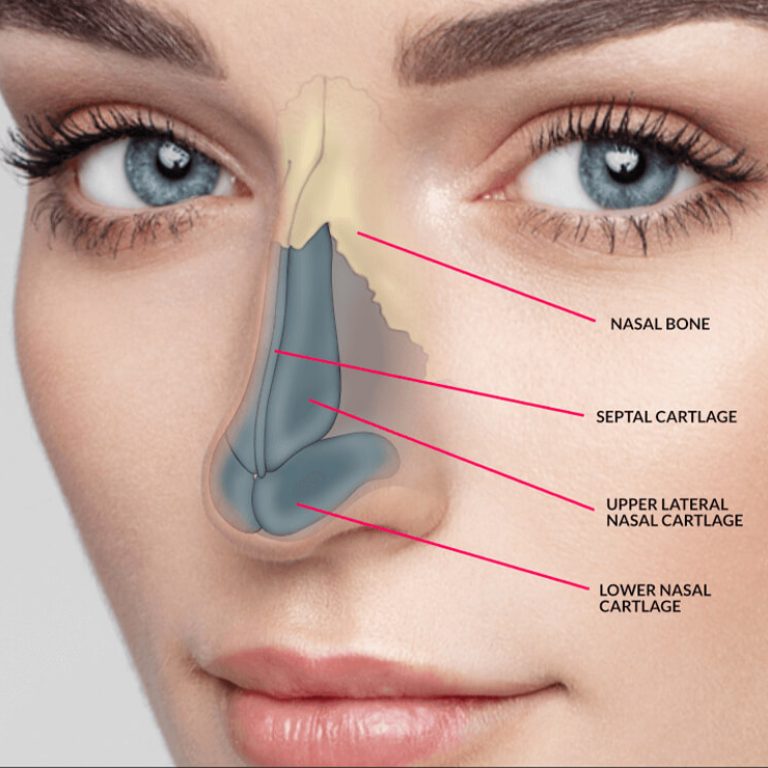 Rhinoplasty Surgery in Delhi | Nose Reshaping Surgery in Delhi by Dr. Anubhav Gupta